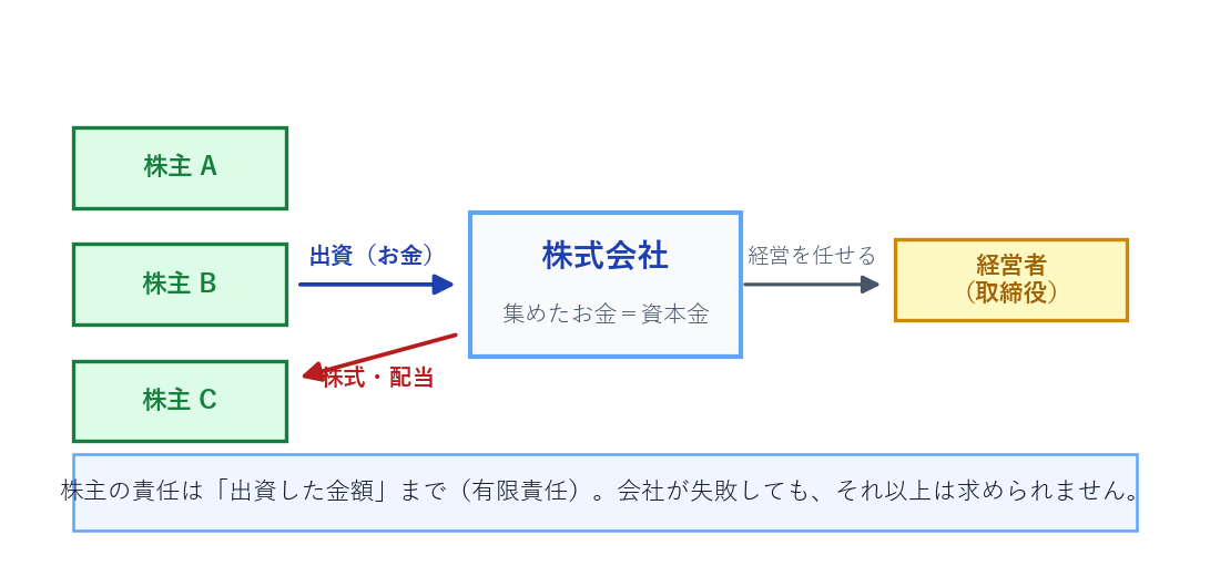 株式会社と株主のしくみ。株主が出資し、会社は株式・配当を返す。株主は有限責任
