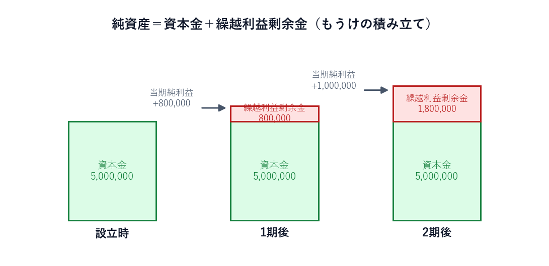 純資産の内訳。資本金は一定で、繰越利益剰余金が当期純利益の分だけ積み上がっていく